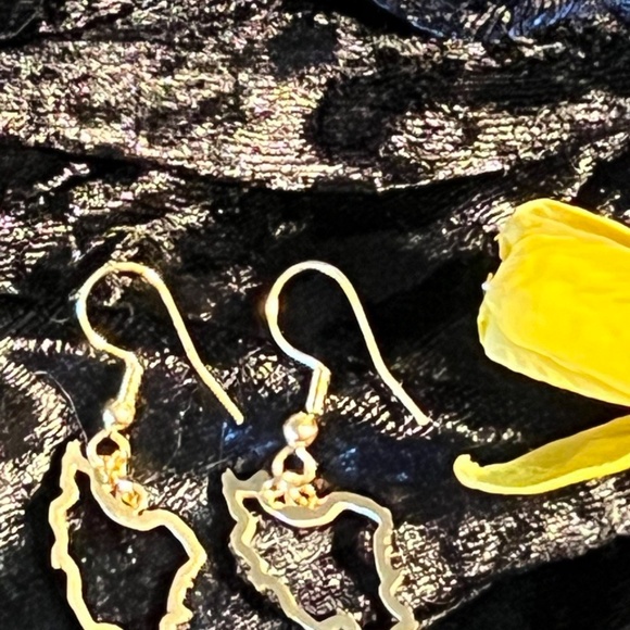 IRAN MAP Earrings - Picture 3 of 6